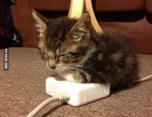 business guide dismoneyfied