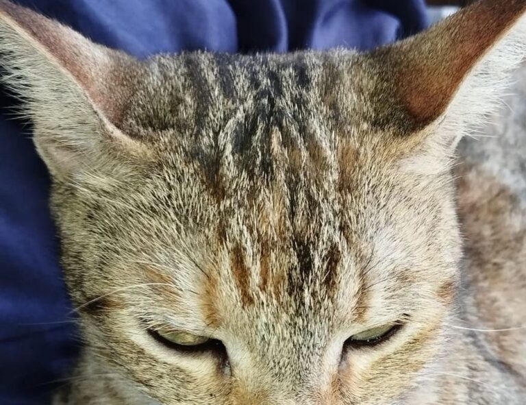 how many locations in clienage9