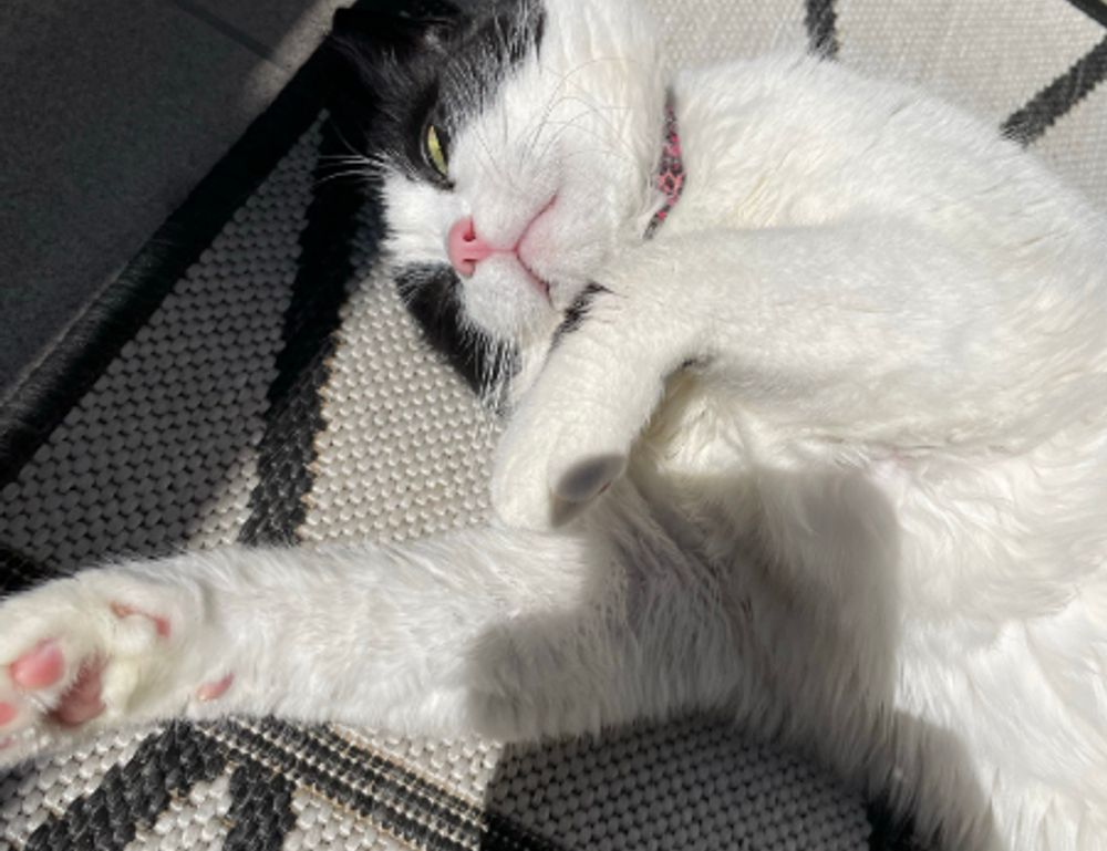 how to be good at biohunt2000 game pc