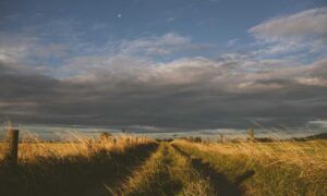 how to open feduspray