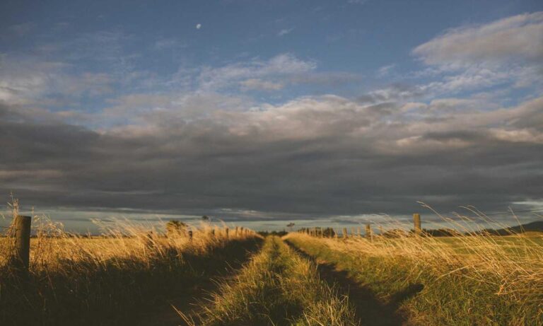 how to open feduspray