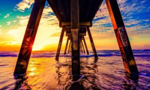 investment guide dismoneyfied