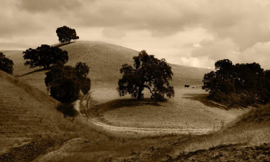 items in game playonit55