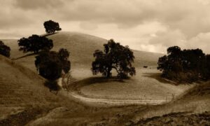 items in game playonit55