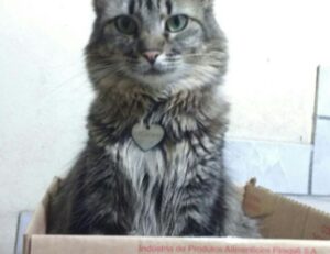 money tips dismoneyfied