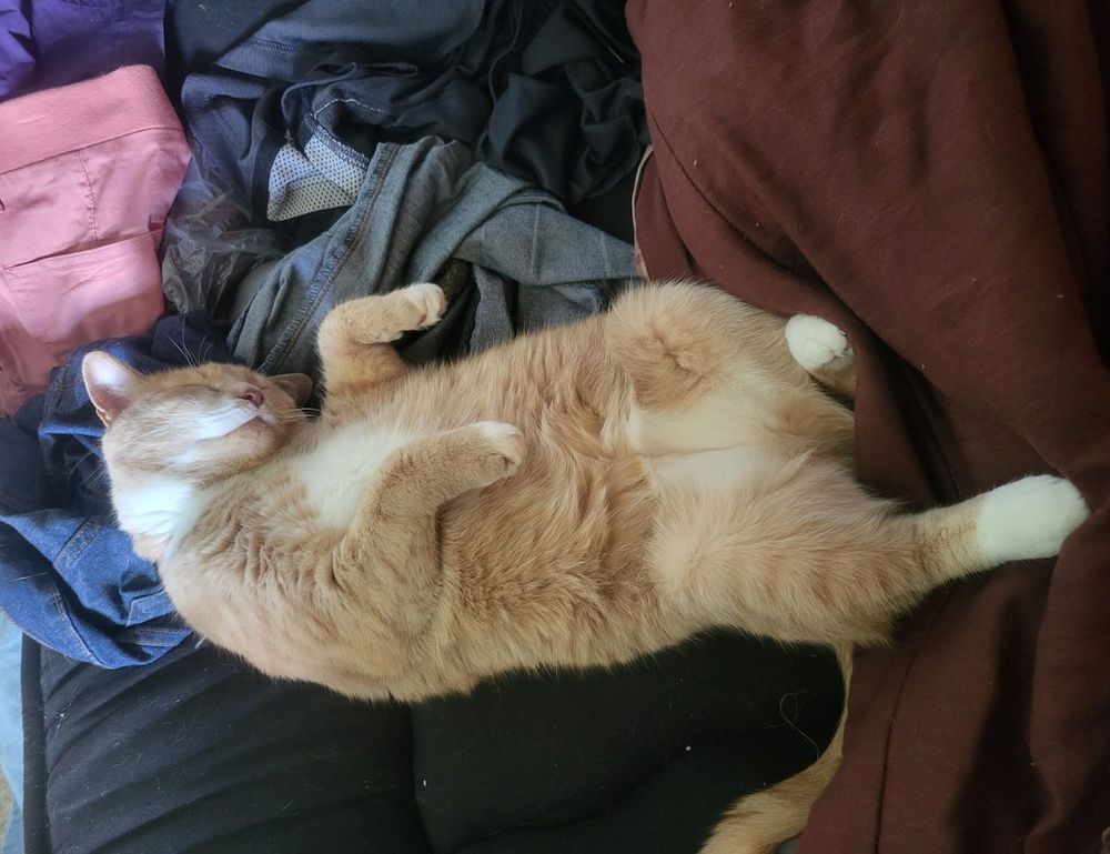 python sdk25.5a burn lag