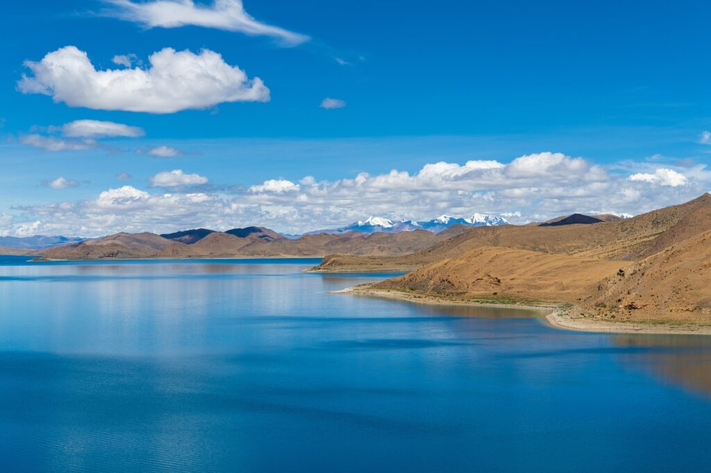 what disease can mimic zydaisis