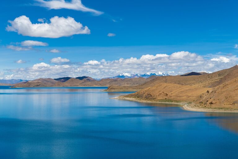 what disease can mimic zydaisis