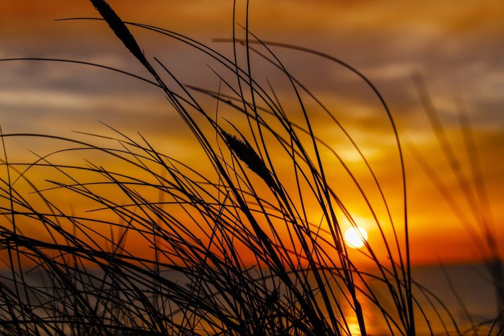 what investment should i start with dismoneyfied