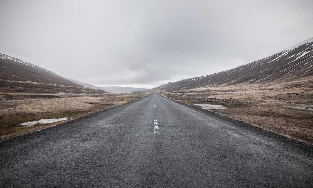 why is biszoxtall software free