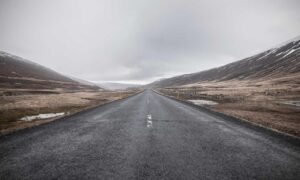 why is biszoxtall software free