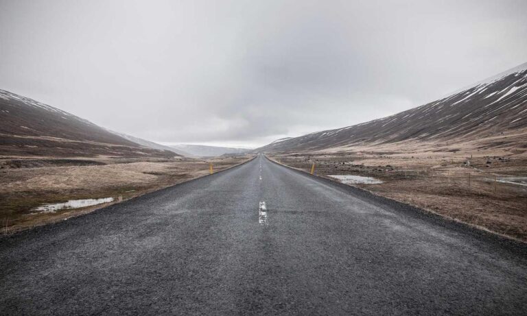 why is biszoxtall software free