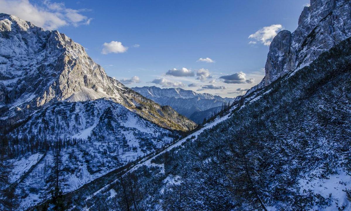 alletomir raymondjames