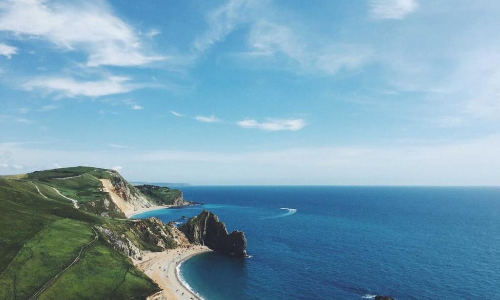 wealth management fees alletomir