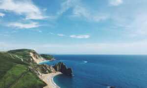 wealth management fees alletomir