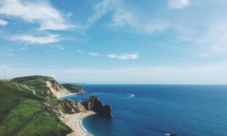 wealth management fees alletomir