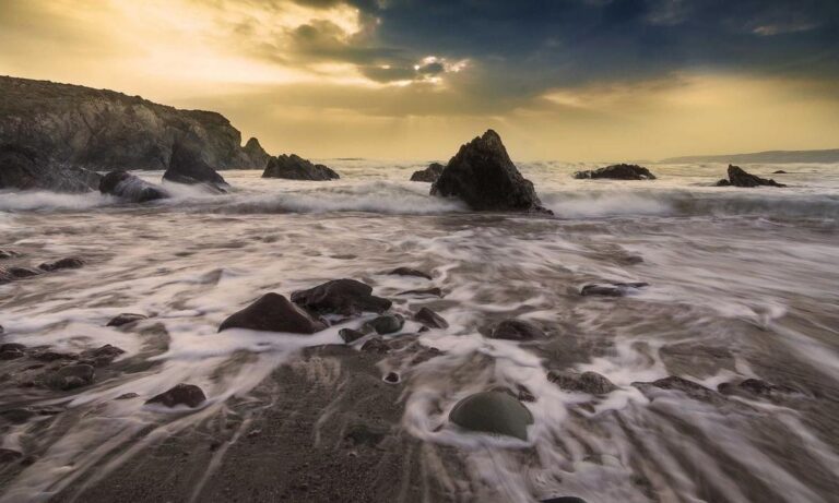 which is better alletomir or raymond james