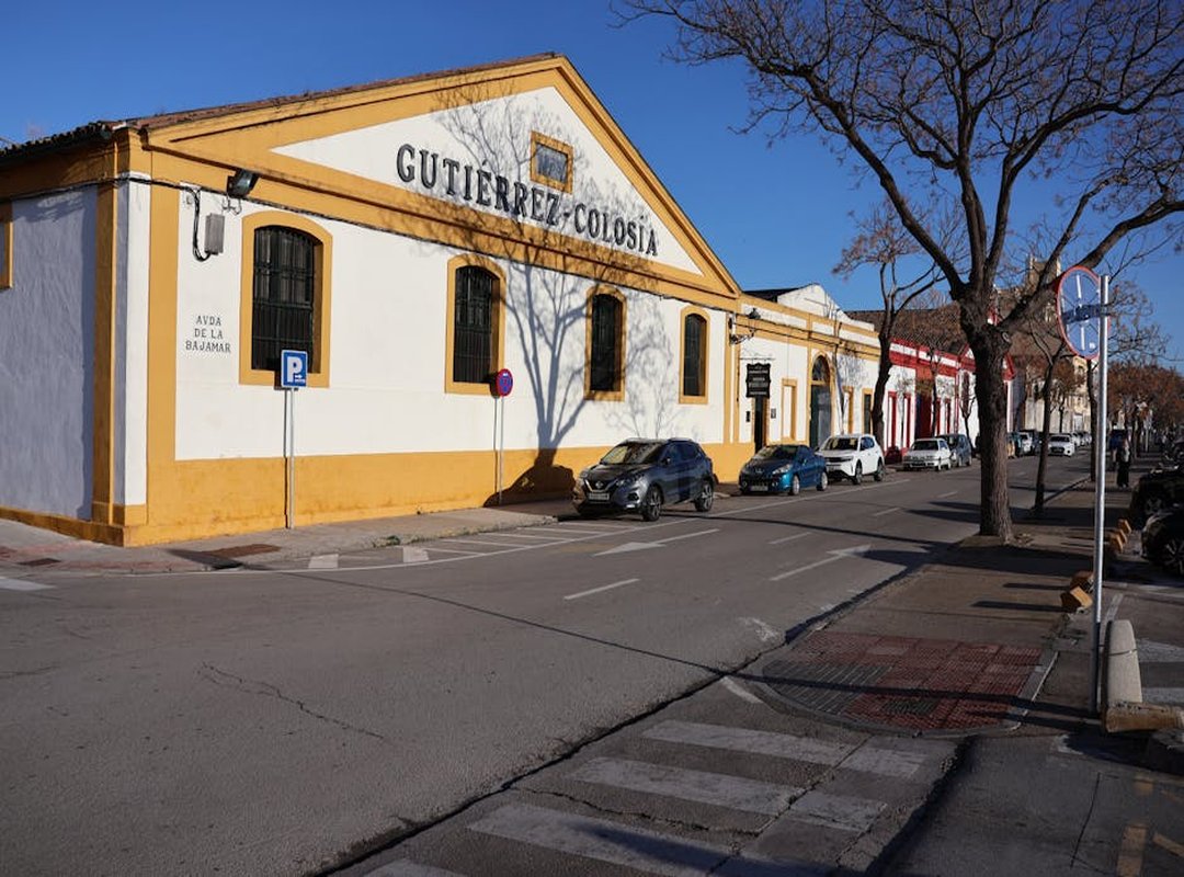 El Lienzo Perfecto: Ideas de Ubicación en la Parte Inferior de la Pierna