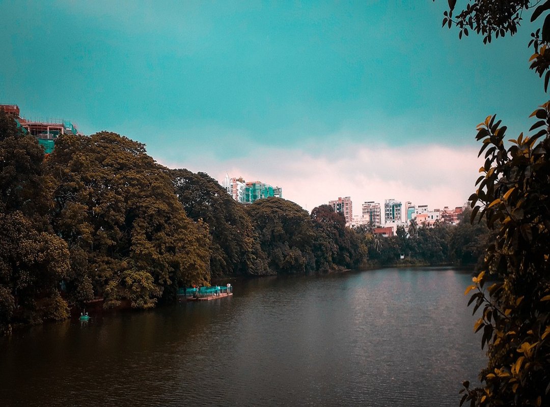 Where to Buy the Bangladeshi XXIV 2023 in Dhanmondi