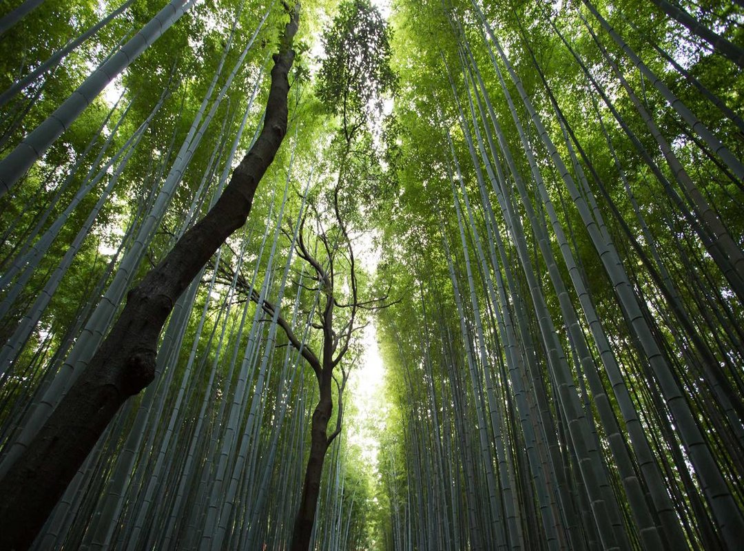 A Practical Comparison: Choosing the Right Hedging Tool