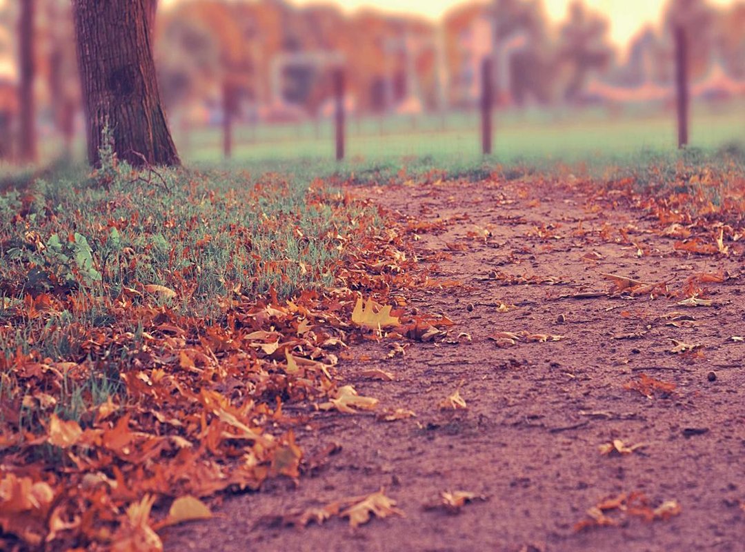 The Honest Truth: What Real Customers Are Saying