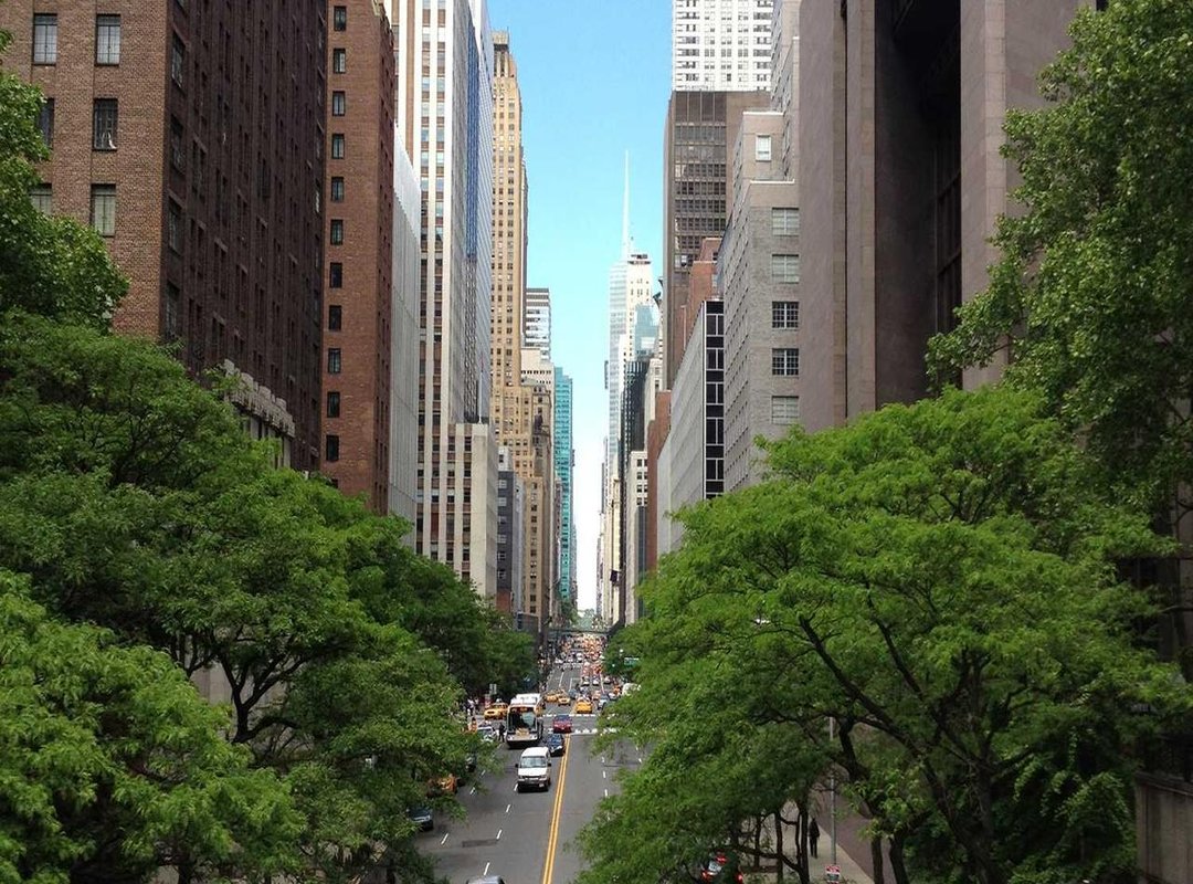 Step-by-Step: How to Download and Install the Mod on Your Android Device