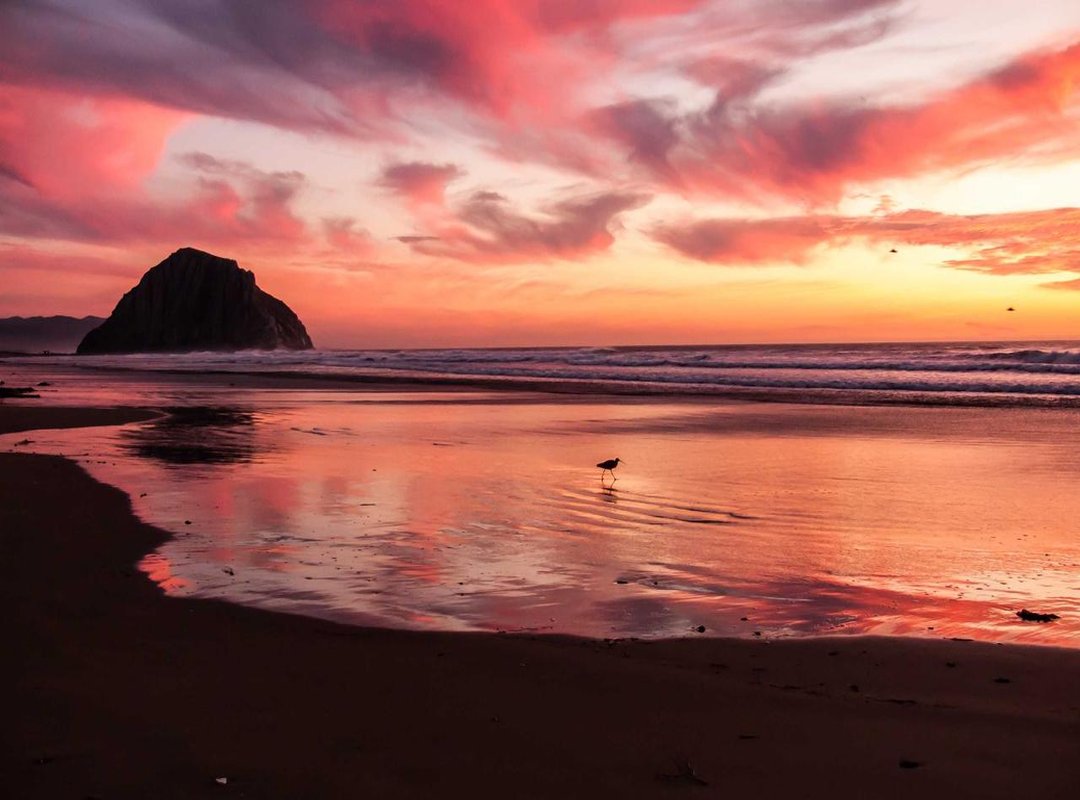 Fueling for Gold: Nutrition and Mental Fortitude