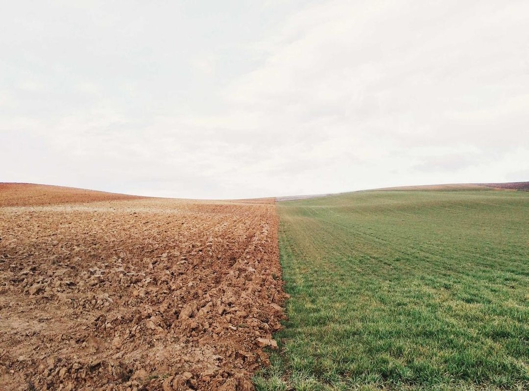 The Direct Answer: Checking for Karseell on Kruidvat Shelves