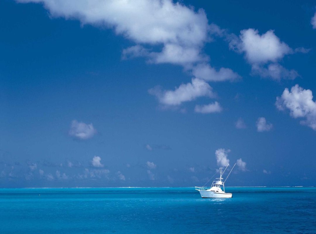 Capturing the Likeness: Drawing Mbappé's Key Features