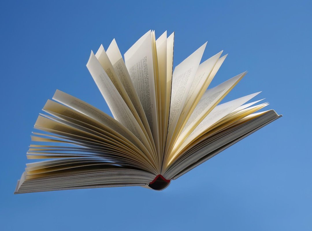 Where Can You Read the 'Mi Frio Exmarido' Novel Online?