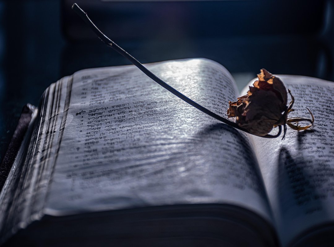 Your Free Printable Blue Coloring Pages