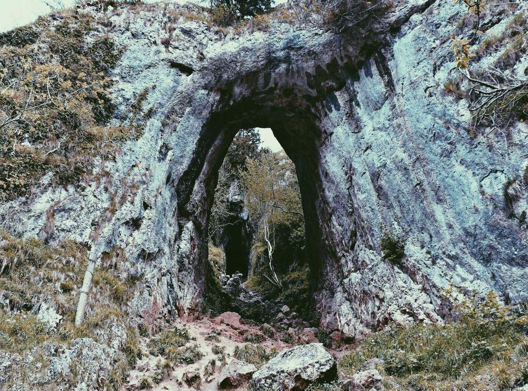 Expand Your Collection: More Rainbow Friends Coloring Pages