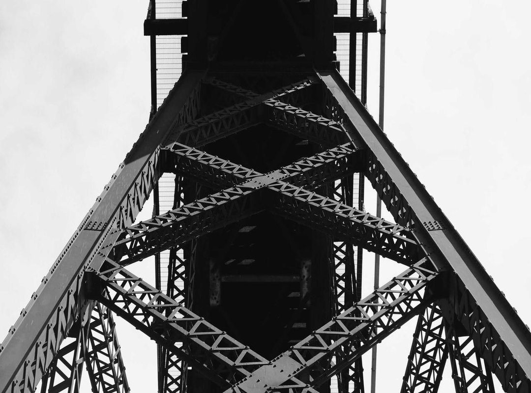 Venomous vs. Non-Venomous Eggs: Can You Tell Them Apart?